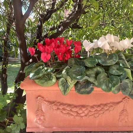 Villa Michelangelo Deluxe Roma Dış mekan fotoğraf
