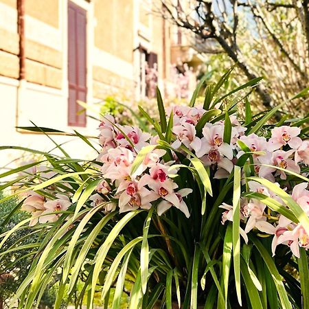Villa Michelangelo Deluxe Roma Dış mekan fotoğraf