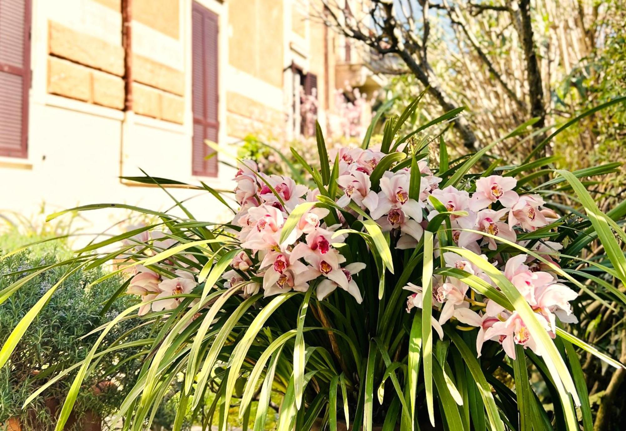 Villa Michelangelo Deluxe Roma Dış mekan fotoğraf