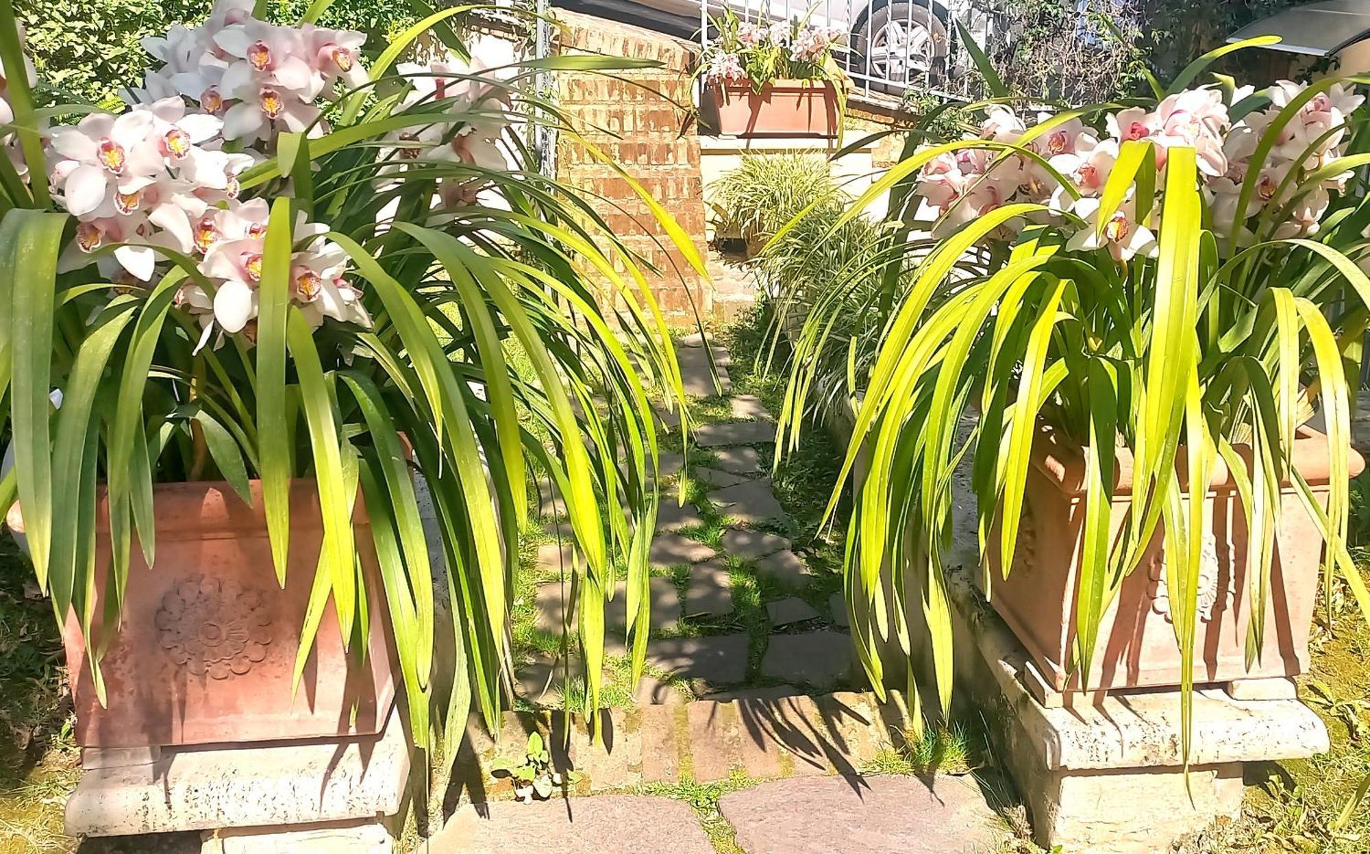 Villa Michelangelo Deluxe Roma Dış mekan fotoğraf